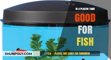 Plastic Tanks: Safe Habitat for Fish?