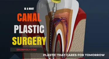 Root Canal vs. Plastic Surgery: Debunking the Dental Procedure Myth