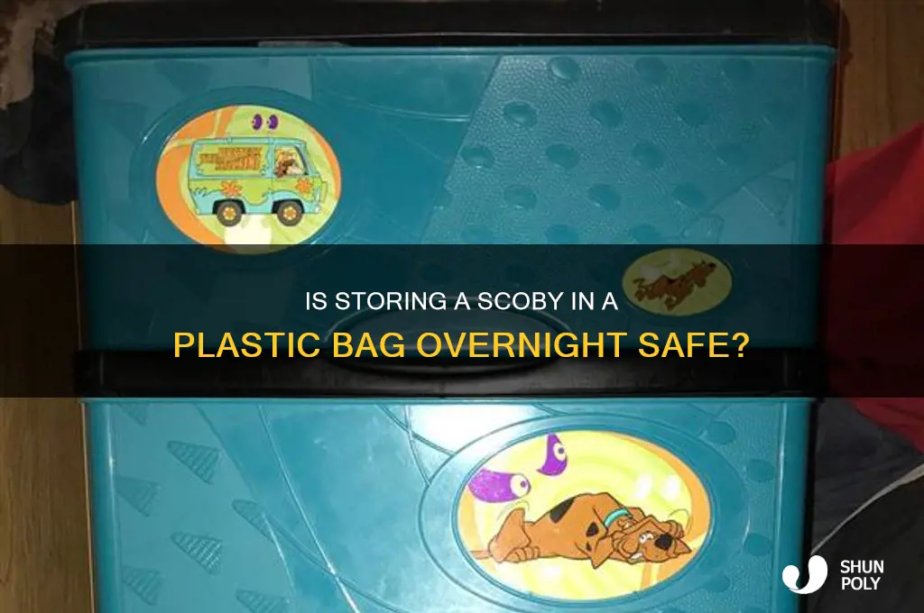 is a scoby okay in a plastic bag overnight
