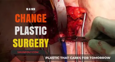 Understanding Sex Change Plastic Surgery: Transformations, Realities, and Personal Journeys