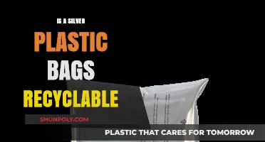 Are Silver Plastic Bags Recyclable? Unveiling the Truth and Eco-Friendly Options