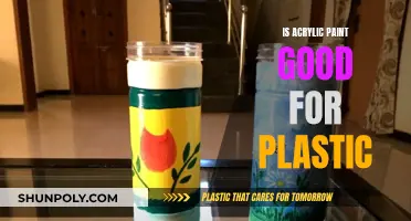 Acrylic Paint on Plastic: A Good Idea?