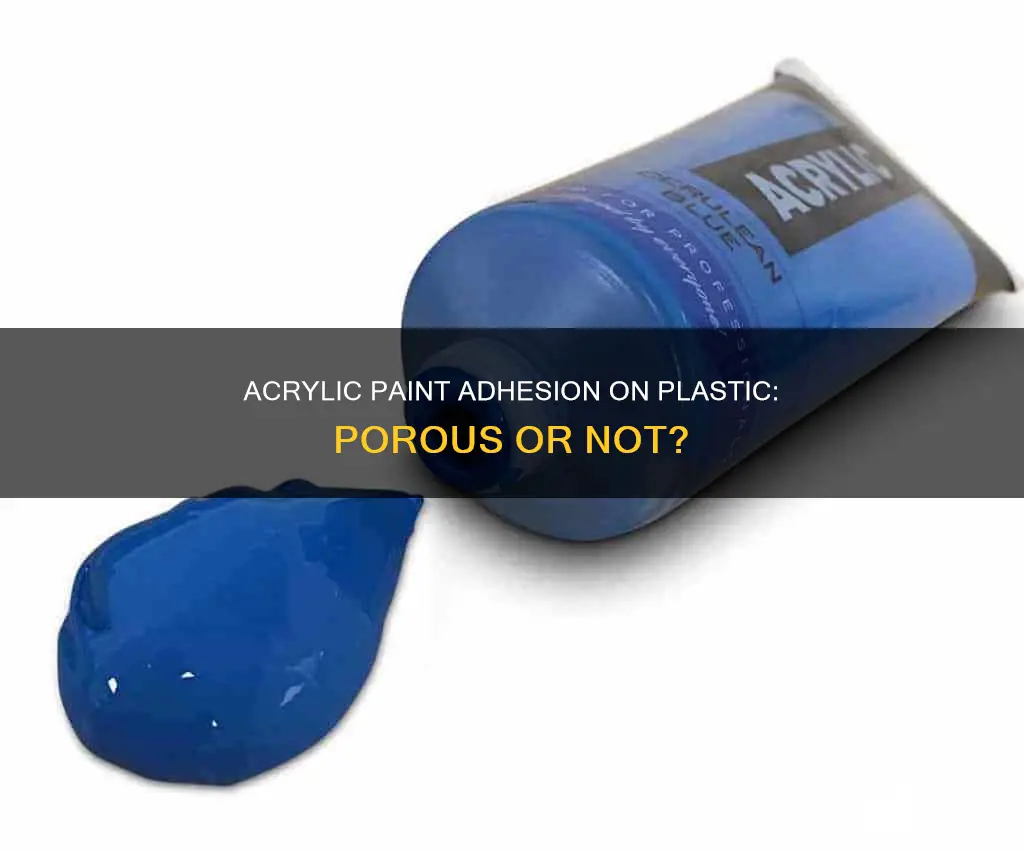 is acrylic paint on plastic porous