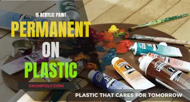 Acrylic Paint on Plastic: Permanent or Temporary?