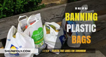 NJ Plastic Bag Ban: What's Changing and Where?