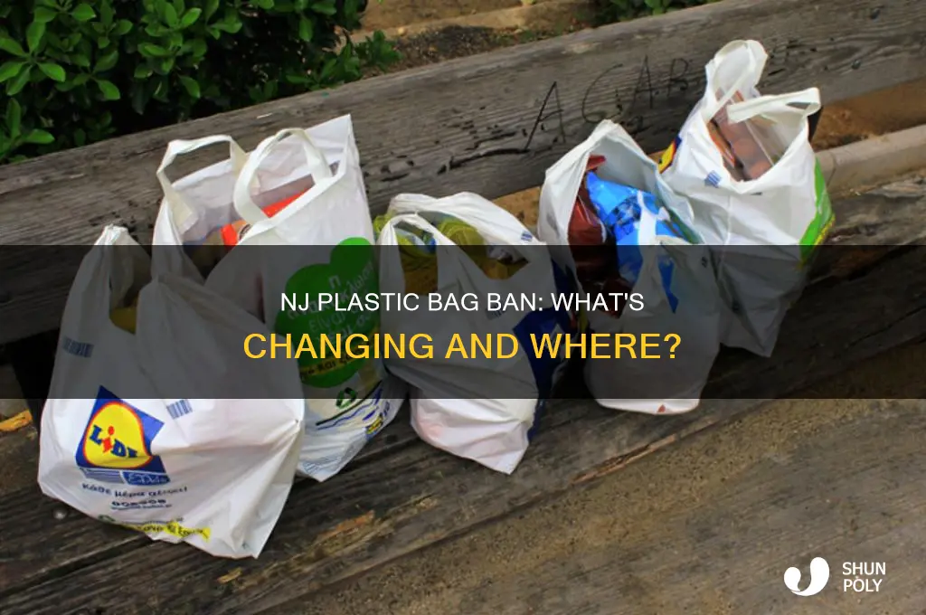 is all of nj banning plastic bags