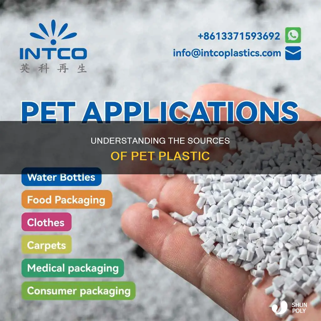 is all pet plastic virgin plastic