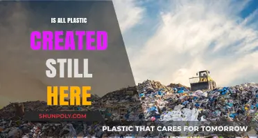 Plastic's Eternal Legacy: Is Any Plastic Ever Truly Gone?