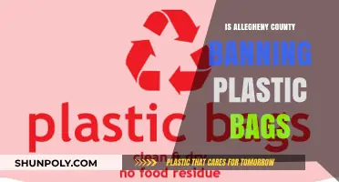 Allegheny County's Potential Plastic Bag Ban: What You Need to Know