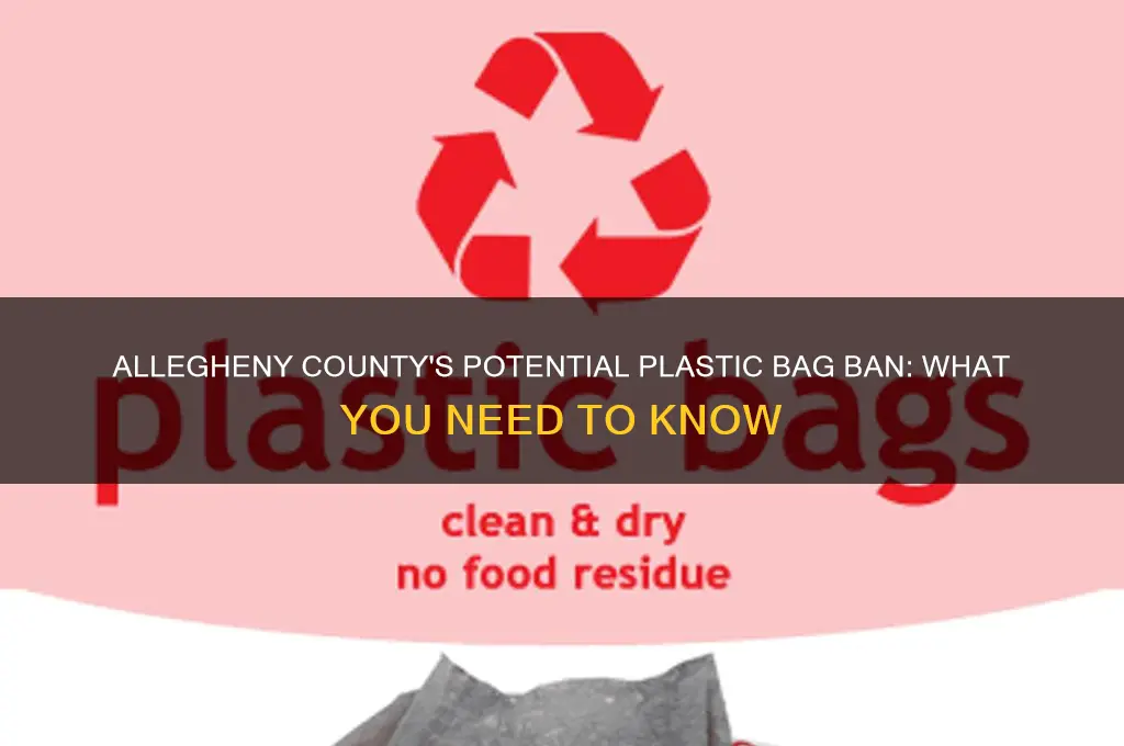 is allegheny county banning plastic bags