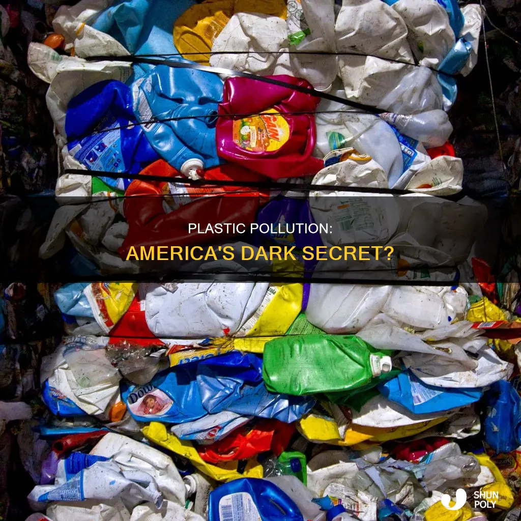 is america really the plastic problem