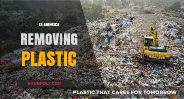 Is America Really Moving Towards a Plastic-Free Future?