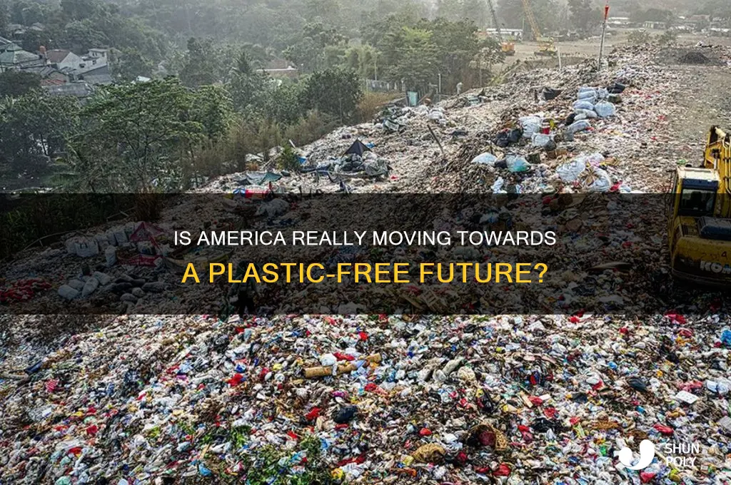 is america removing plastic