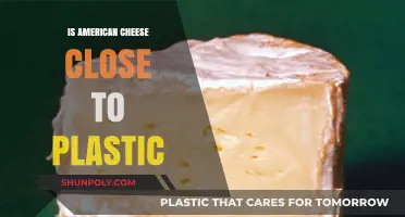 American Cheese: Plastic or Not?