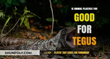 Animal Plastics T60: The Perfect Habitat for Tegus?