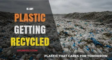 Is Any Plastic Really Getting Recycled? Uncovering the Truth Behind Recycling Myths