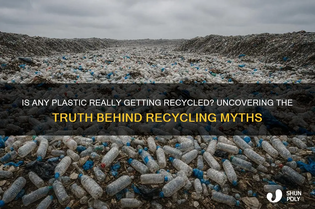 is any plastic getting recycled