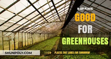 Greenhouses and Plastics: Which Plastics Are Safe?