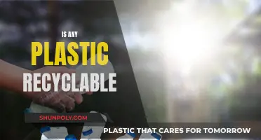 Plastic Recycling: What Plastics Can Be Recycled?