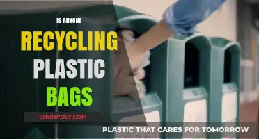 Are Plastic Bags Being Recycled? Uncovering the Truth Behind the Waste