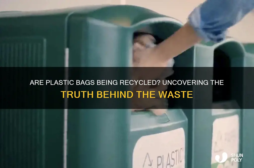 is anyone recycling plastic bags