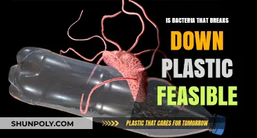 Plastic-Eating Bacteria: A Viable Solution?