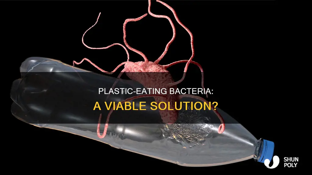 is bacteria that breaks down plastic feasible