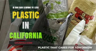 California's Bag Ban: Reducing Plastic Waste or Just a Start?