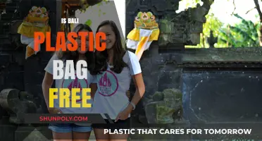 Is Bali Plastic Bag Free? Exploring the Island's Sustainability Efforts