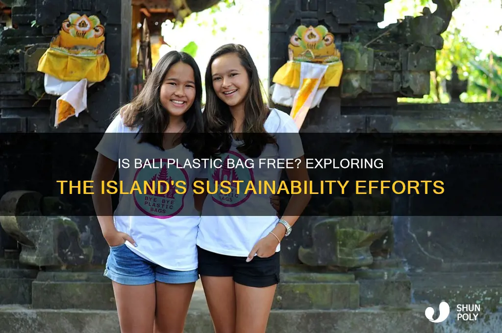 is bali plastic bag free