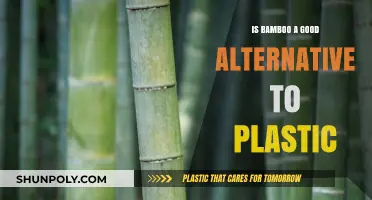 Bamboo vs Plastic: A Sustainable Alternative?