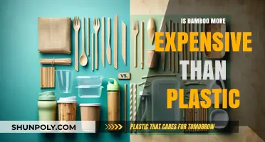 Bamboo vs Plastic: Is Bamboo a Costly Alternative?