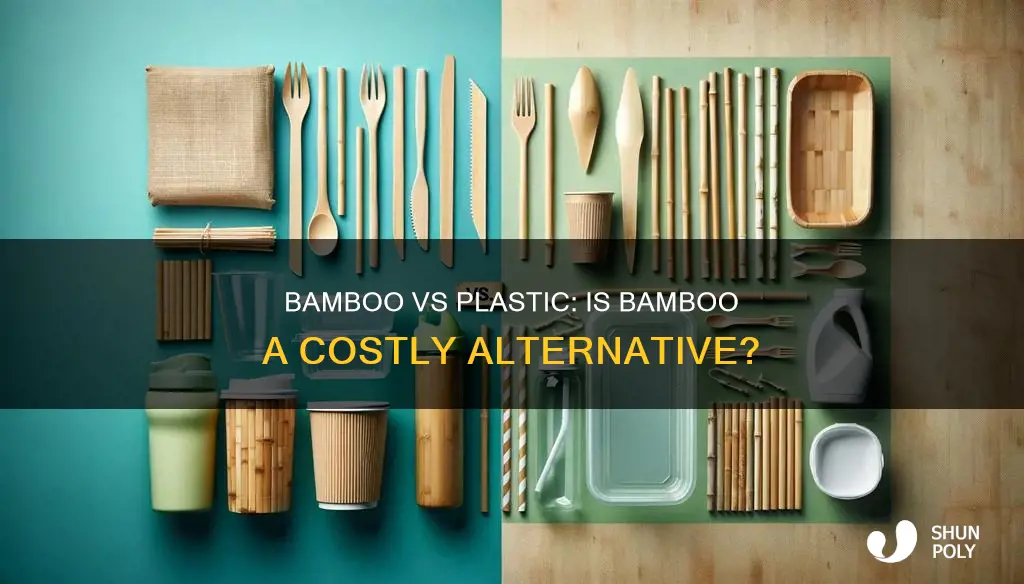 is bamboo more expensive than plastic