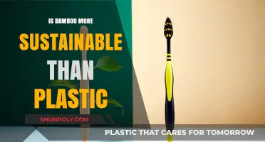 Bamboo vs. Plastic: Why Bamboo is the Sustainable Winner