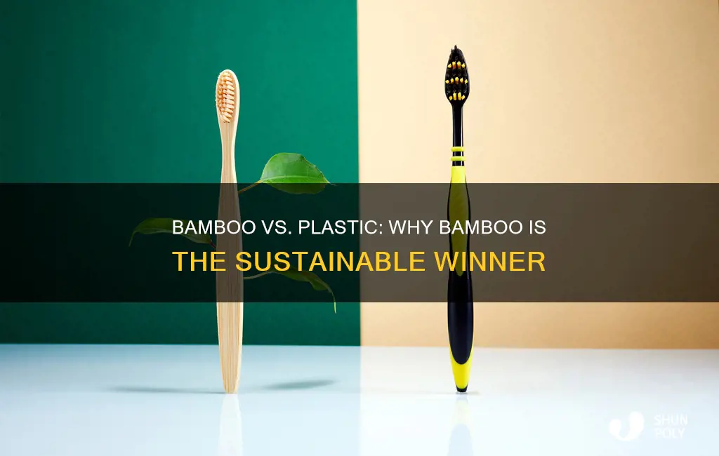 is bamboo more sustainable than plastic