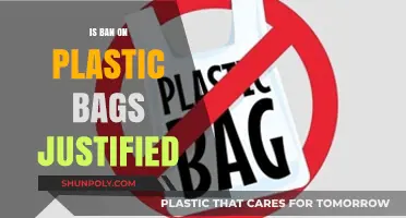 Is the Plastic Bag Ban Justified? Environmental Impact and Alternatives