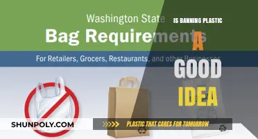 Plastic Ban: Pros and Cons