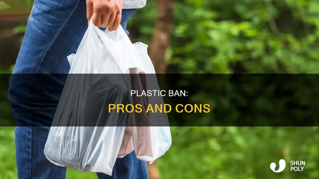 is banning plastic a good idea