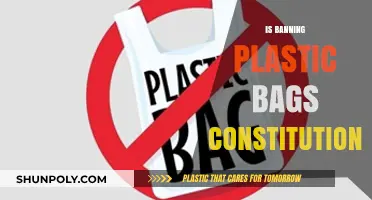 Is Banning Plastic Bags Constitutional? Legal and Environmental Debate Explored