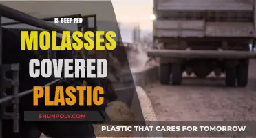 How Molasses-Fed Beef is Covered in Plastic