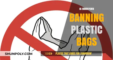Biddeford's Plastic Bag Ban: What You Need to Know