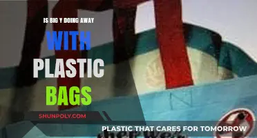 Big Y's Plastic Bag Phase-Out: What Shoppers Need to Know