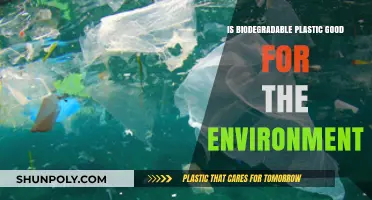 Biodegradable Plastic: Eco-Friendly or Greenwashing?