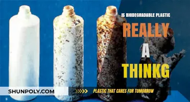 Biodegradable Plastic: Eco-Friendly or Greenwashing Lie?