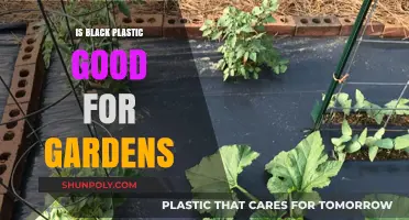 Black Plastic: Good or Bad for Gardens?
