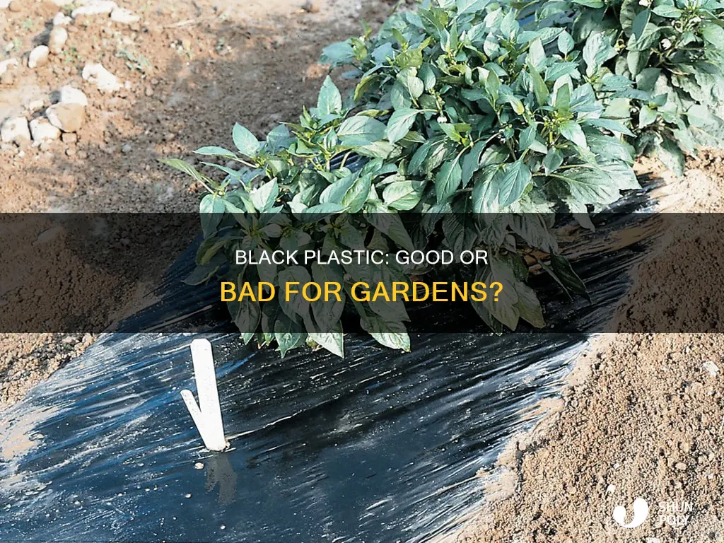 is black plastic good for gardens