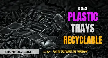 Black Plastic Trays: Are They Recyclable?