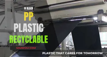 Black PP Plastic: Is It Recyclable?