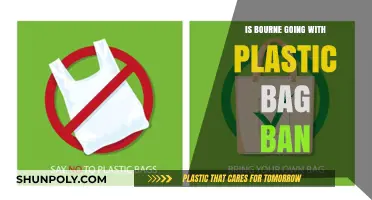Bourne's Plastic Bag Ban: Environmental Impact and Community Response