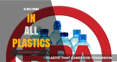 Plastics and BPA: What's the Real Story?
